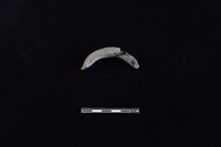 陶把藏品圖，第1張